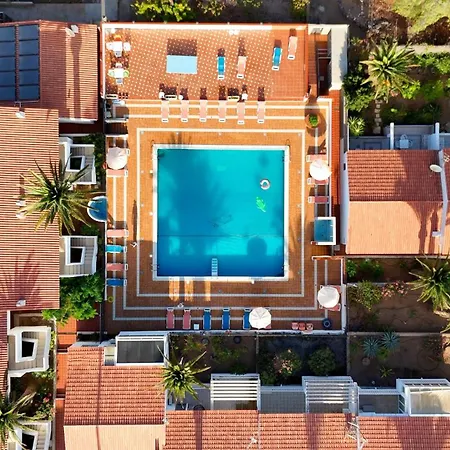 Americas Monkey Appartement