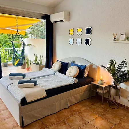 Americas Monkey Apartament