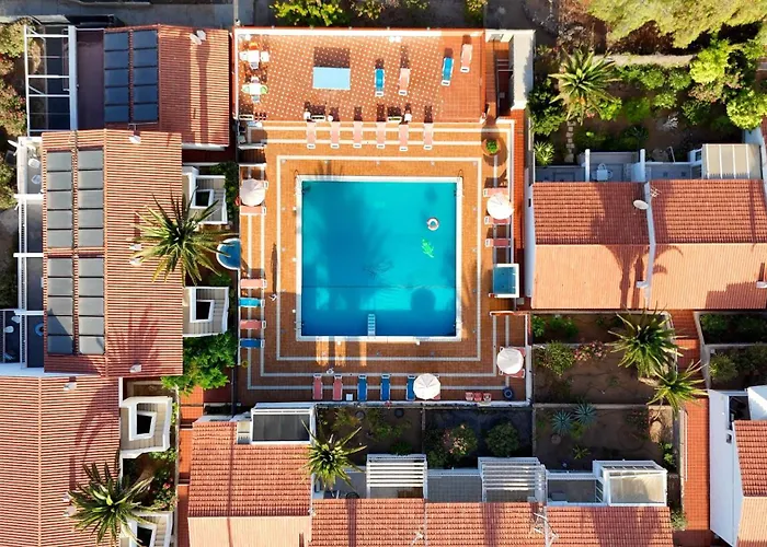 Americas Monkey Appartement