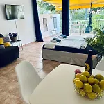 Americas Monkey Apartment