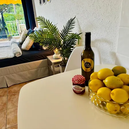 Americas Monkey * Playa de las Americas (Tenerife)