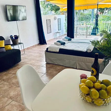 Americas Monkey Apartamento