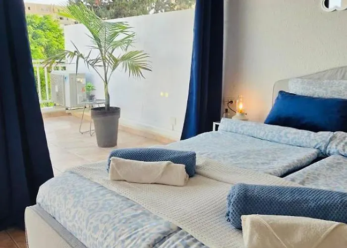 Americas Monkey * Playa de las Americas (Tenerife)